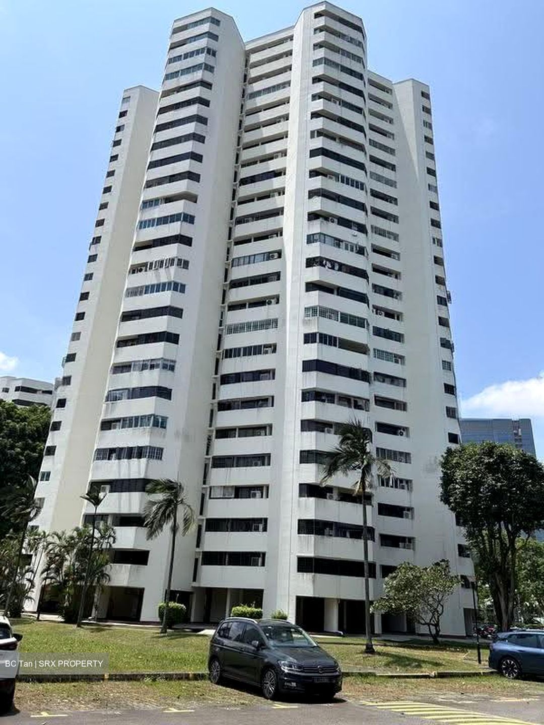 Ivory Heights (D22), Condominium #617627761